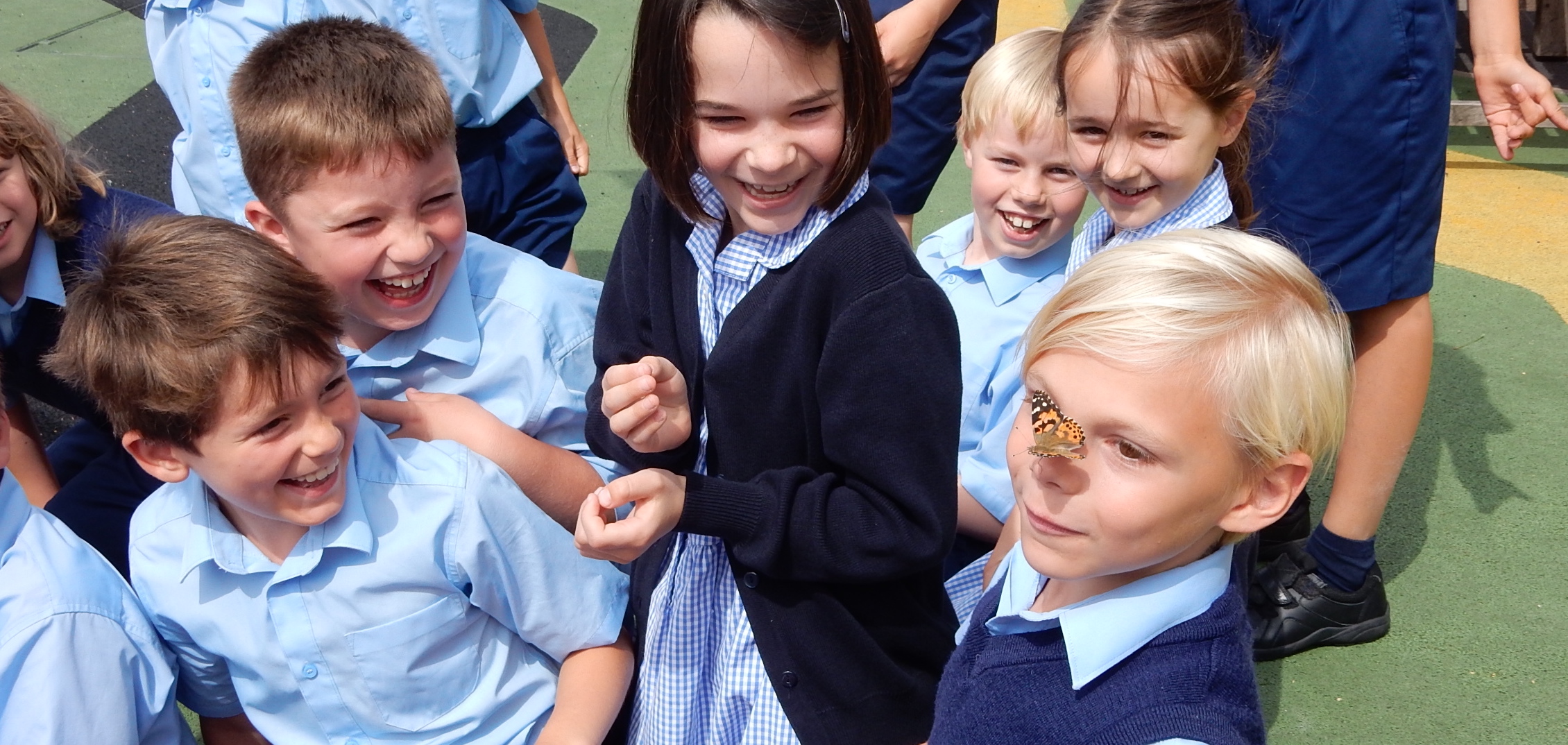 The Butterfly Preschool - Wimbledon 